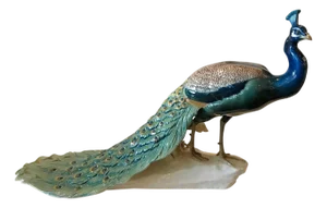 Extraordinary Nymphenburg Hand Painted Porcelain Peacock, Signed and Dated 1912