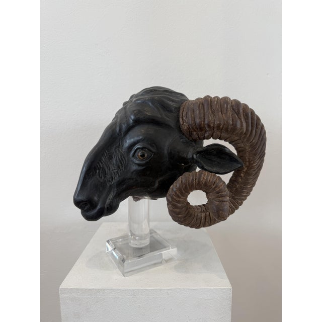 Northern European Artist, Ram's Head, 19th Century, Wood For Sale - Image 6 of 14