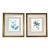 Late 20th Century Pair of 1840s Reproduction Botanical Specimen Prints, Charlock Mustard & Creeping Crowfoot For Sale