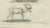 Blue Bertuch, Reindeer & Northern Deer, 1792, Engraving For Sale - Image 8 of 10