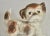 Dog from Melba Ware, 1960s For Sale - Image 4 of 9