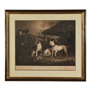 "Wasp, Child & Billy", 1809 For Sale