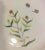 1990s 1990s Hand Painted Monastery of Bethlehem Fine Porcelain Salad Plates- Set of 10 For Sale - Image 5 of 11