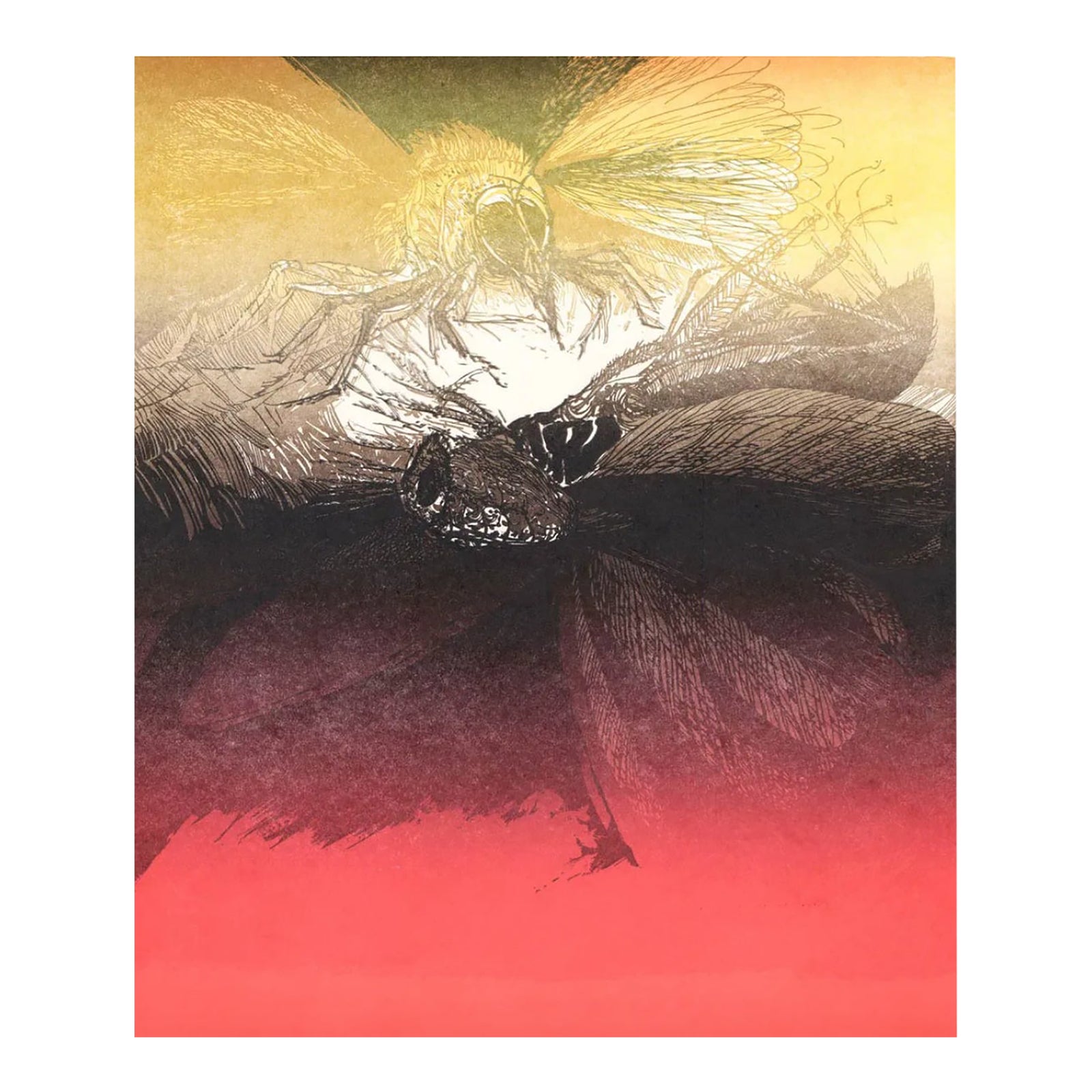 George Lockwood Wasp and His Victim Wood Engraving | Chairish