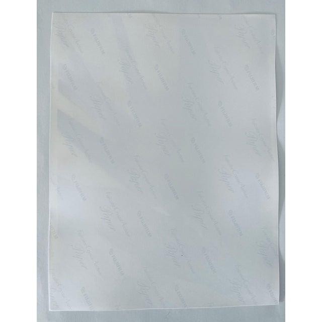 Jeffrey Rothstein, Flora Fauna Series Vintage Color Photograph Abstract Flower Fuji Crystal Photo, c.1998 For Sale In Miami - Image 6 of 6