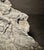 Large Fern Leaf Fossil Slab For Sale - Image 9 of 10