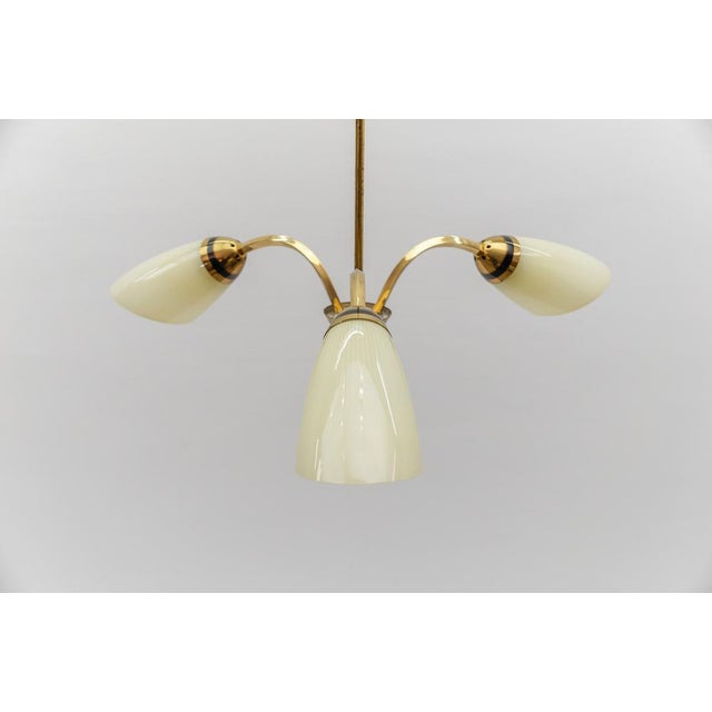 Gold Mid-Century Modern 3-Armed Brass Sputnik Lamp, 1950s For Sale - Image 8 of 15