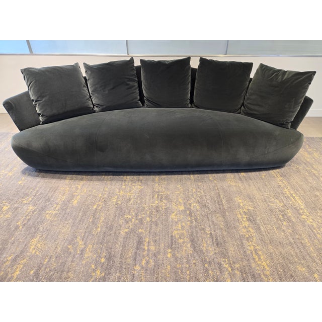Textile Giorgetti Solemyidae Sofa For Sale - Image 7 of 9
