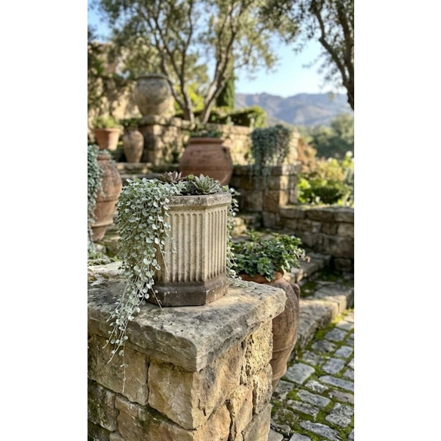 Vintage Neoclassical Octagonal Fluted Cast Stone Planter For Sale - Image 10 of 10