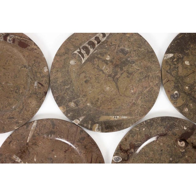 Marble Plates with Fossil Inclusions, Set of 7 For Sale - Image 3 of 8