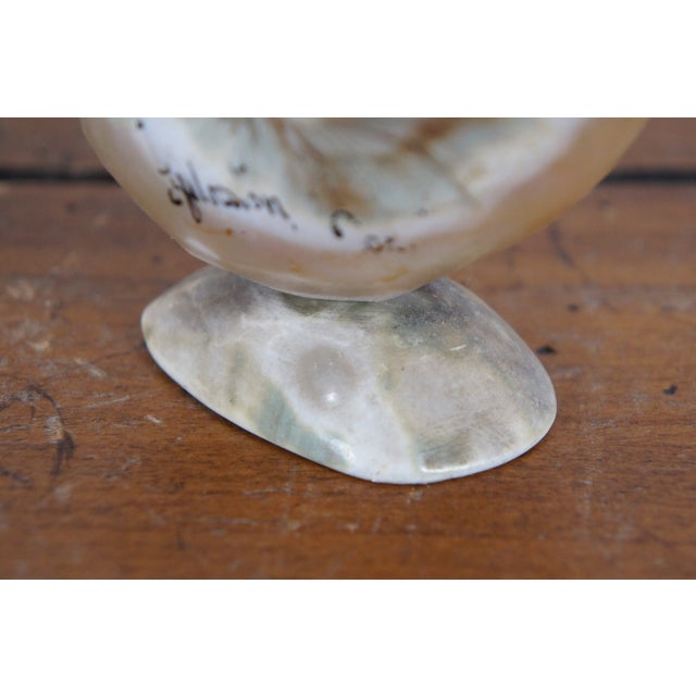 Antique Mother of Pearl Nautical Nautilus Sea Shell Trinket For Sale - Image 12 of 12