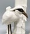Fitz and Floyd 1970's Fitz & Floyd Japanese White Crane Candlesticks With Bamboo Bases – Hollywood Regency / Chinoiserie For Sale - Image 4 of 10