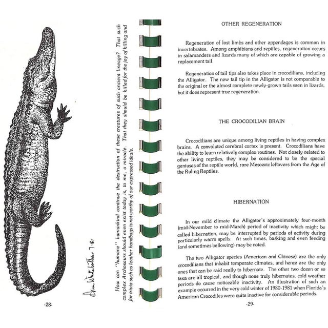"Jaws, Too: The Story of Sanibel's Alligators and Other Crocodilians" 1981 Campbell, George R. For Sale In New York - Image 6 of 10