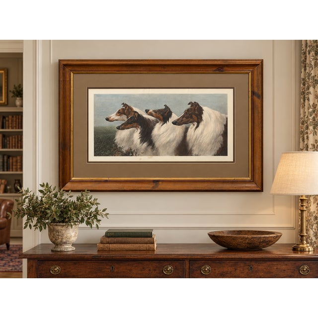 Wood 1901 Maud Earl “Four by Honours” Large Framed Collie Dog Print For Sale - Image 7 of 15