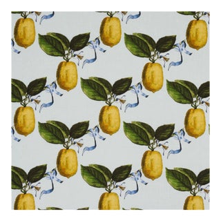 Schumacher x Johnson Hartig Le Citron Fabric in Sky For Sale