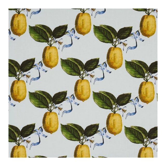 Schumacher x Johnson Hartig Le Citron Fabric in Sky For Sale