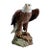 Mid 20th Century Rare Kaiser Porcelain American Bald Eagle Sculpture Limited Edition No. 12/200, W. Germany For Sale