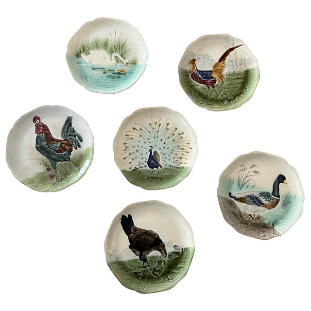 19th Century Choisy Le Roi Majolica Bird Plates -Set of 6 Authentic Antique Plates For Sale - Image 12 of 12