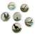 19th Century Choisy Le Roi Majolica Bird Plates -Set of 6 Authentic Antique Plates For Sale - Image 12 of 12