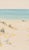 Not Yet Made - Made To Order Coastal Beach Art Print – Sand Dunes and Turquoise Sea, 60" X 40" For Sale - Image 5 of 7