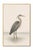 Refined coastal artwork featuring a great blue heron standing in shallow water, rendered with delicate feather detail and...