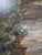 Mid-Century Modern Late 20th Century Large Haibin 'The Conservatory' Framed Botanical Greenhouse Art Print, 37" Square For Sale - Image 3 of 5