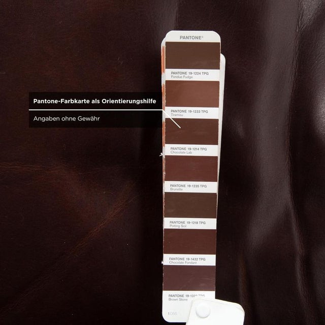 Amadeo 3-Seater Sofa in Leather from Machalke For Sale - Image 9 of 13