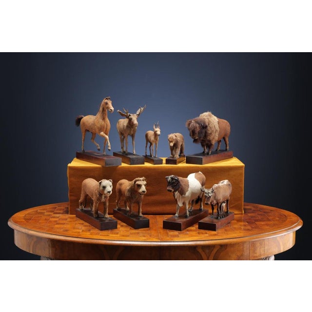 Wood Horse Sculpture by Henry Fratin For Sale - Image 7 of 9