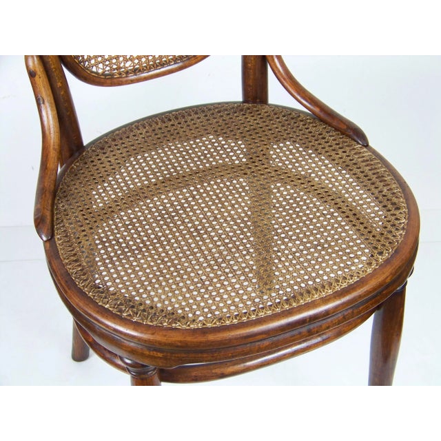 Nr.12 Chair from Thonet For Sale - Image 5 of 8