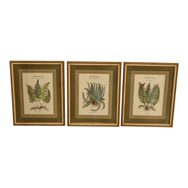 Vintage Custom Framed & Matted Botanical Prints Set of 3 Chairish