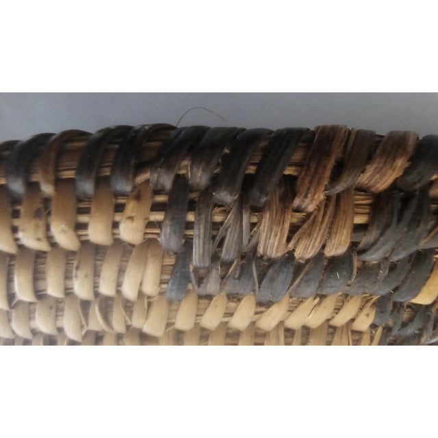 Antique Native American Pima (Akimel O'odham) Coiled Basket, Early 20th Century For Sale - Image 13 of 15