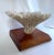 Vintage White Table Coral Specimen For Sale - Image 10 of 12