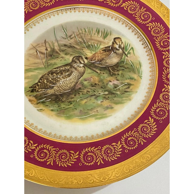 Animal Pattern Porcelain and Ceramic Plates, France, 1960s, Set of 2 For Sale - Image 6 of 8