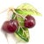 Vintage Tiffany & Co. France Diamond Plique a Jour Glass Cherries Gold Brooch For Sale - Image 15 of 16
