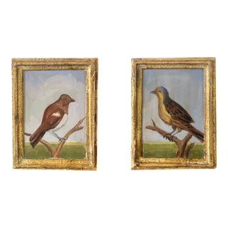Sparrow Paintings, a Pair For Sale