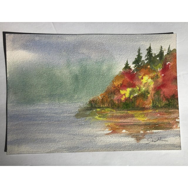 The colors of fall on a misty morning.