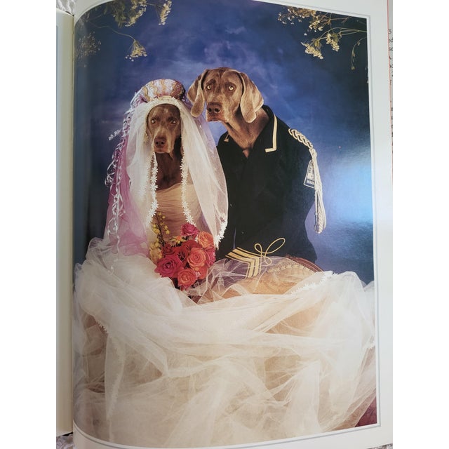 Cinderella by Art Photographer William Wegman For Sale - Image 10 of 11