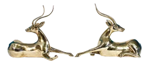 Oversize Pair of Solid Brass Impalas