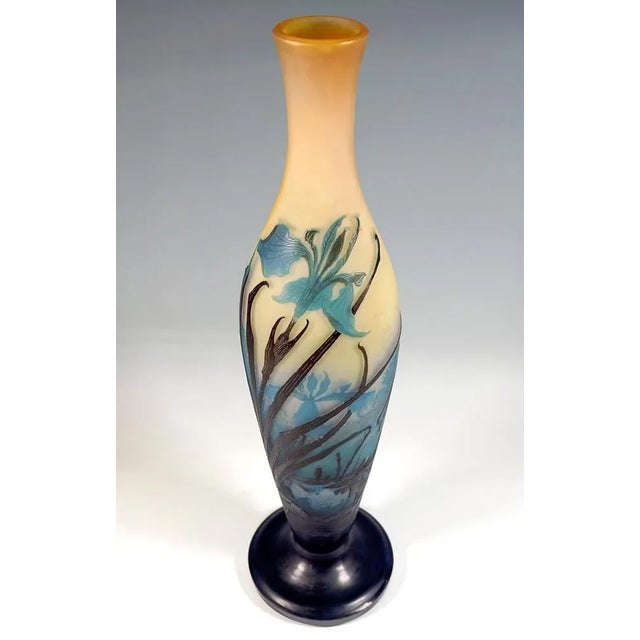 Large Art Nouveau Iris and Lily Pond Cameo Vase from Emile Gallé, France, 1906s For Sale - Image 5 of 8