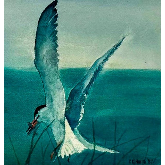 Original 1987 Coastal Watercolor "The Catch" Common Tern Bird Study - Signed C. G. Hurth For Sale - Image 10 of 12