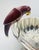 1980s Emilia Castillo Sculptural Parrot Center Bowl in Jasper & Silver-Plate, Mexico For Sale - Image 12 of 18