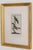 Cream 19th Century Set of Framed Avian / Bird Engravings For Sale - Image 8 of 11