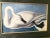 Alabaster John James Audubon Vintage “Trumpeter Swan” Print Magnificently Matted and Framed Excellent Mint Condition For Sale - Image 8 of 9