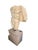 Large Classical Marble Torso of Hercules on Marble Base, 1930 For Sale - Image 3 of 8