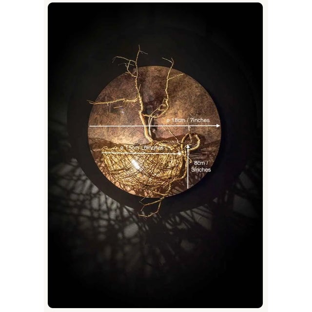 Not Yet Made - Made To Order Nest Wall Sconce by Frankie Cesare For Sale - Image 5 of 6