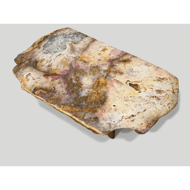 Contemporary Andrianna Shamaris Beautiful Rare Petrified Wood Coffee Table For Sale - Image 3 of 18