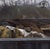 Rehab by Brad Davis | Oil on Wood Panel Depiction of a dumpster with debris and distant houses. For Sale