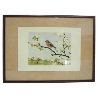 School Poster, Czechoslovakia, 1960s For Sale