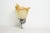 French Tulip and Fish Wall Sconce in Chrome and Peach Marbled Glass, 1940s For Sale - Image 4 of 11