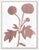 Contemporary Wildflowers Set by Susan Hable For Sale - Image 3 of 4